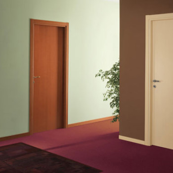 Двери окрашенные в разные цвета