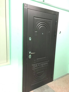 металлическа дверь МД-31