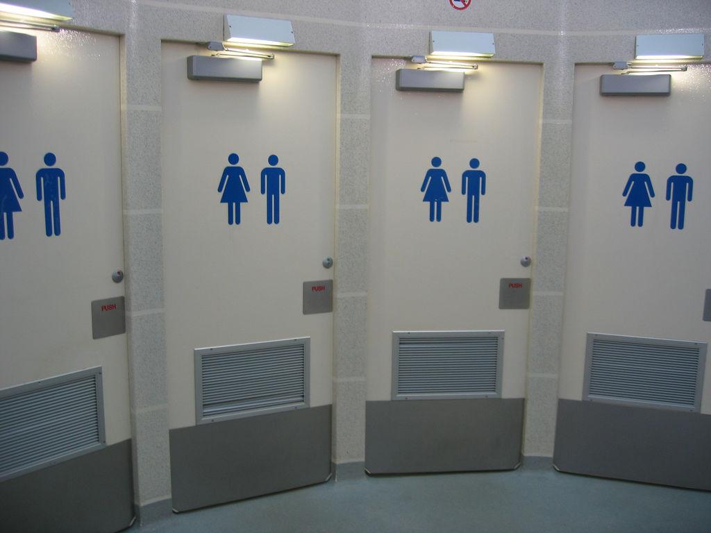 двери для общественных туалетов